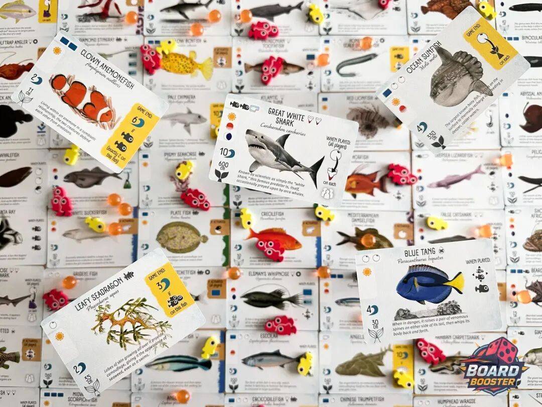 的10款必玩桌游请你来打分！瓦力棋牌回顾2025年上半年(图15)