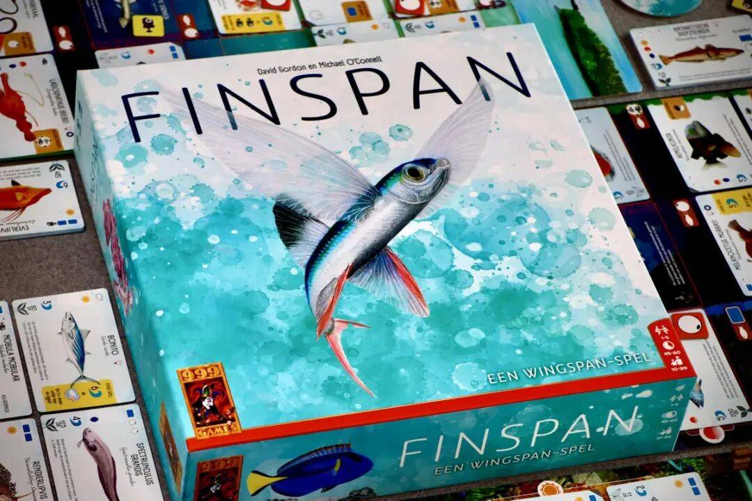 的10款必玩桌游请你来打分！瓦力棋牌回顾2025年上半年(图14)